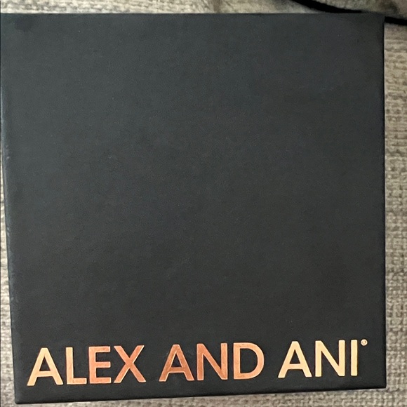 Alex and Ani Silver Letter “A” Charm Bracelet - Picture 4 of 4